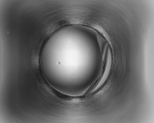 X0000088690441200705311159