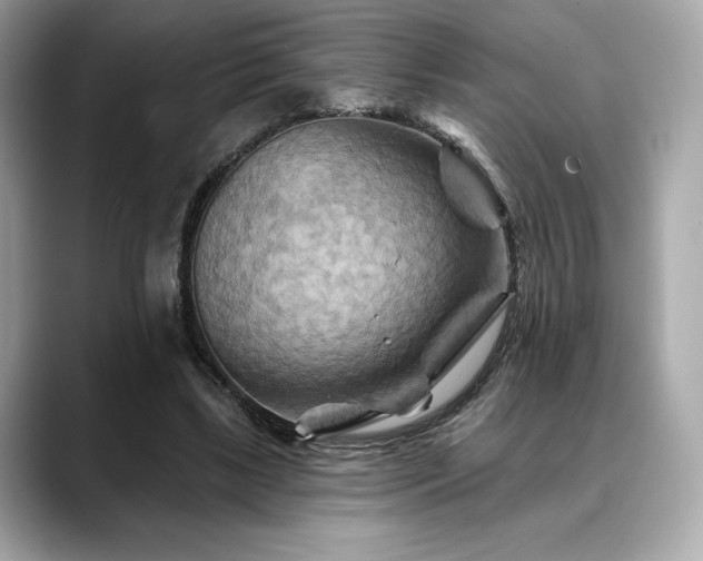 X0000088690443200705311159