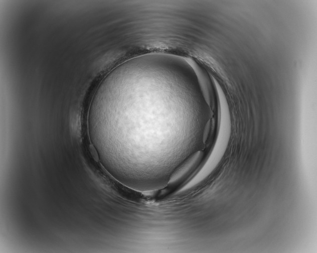 X0000088690444200705311159