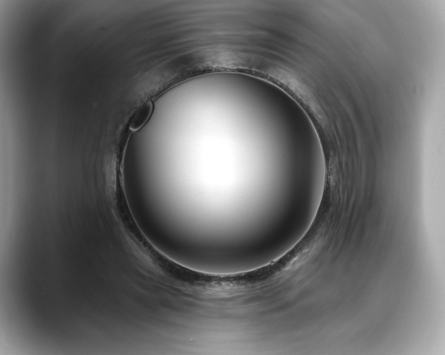 X0000088690445200705311159