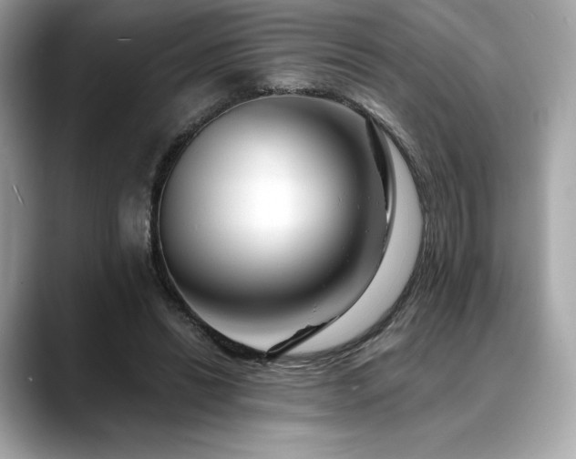 X0000088690446200705311159