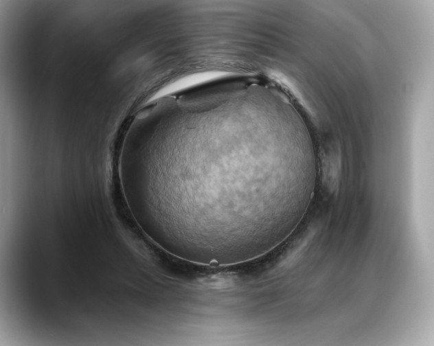 X0000088690447200705311159