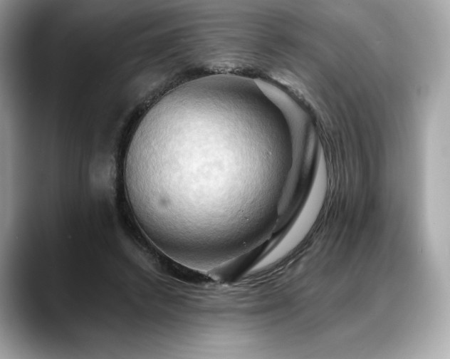 X0000088690448200705311159