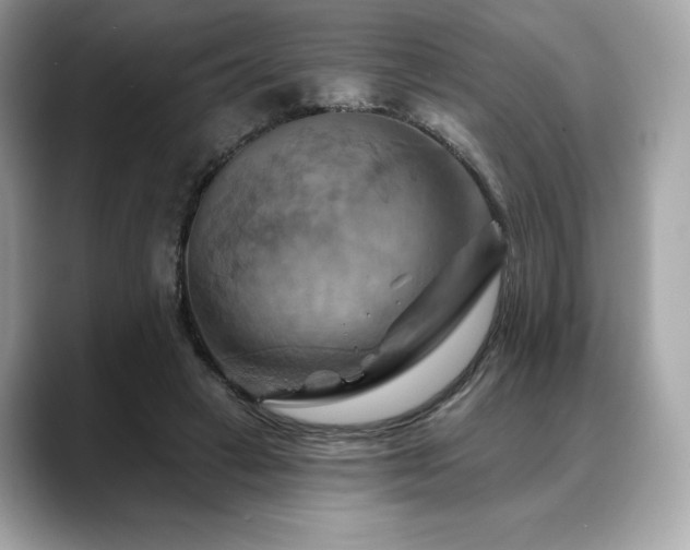 X0000088690449200705311159