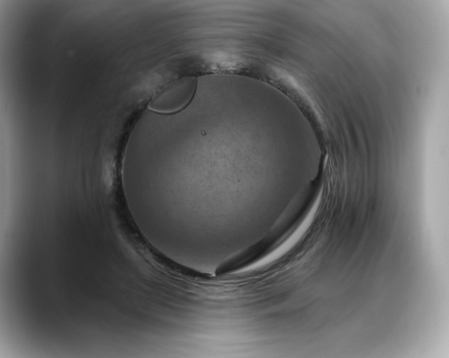 X0000088690451200705311159