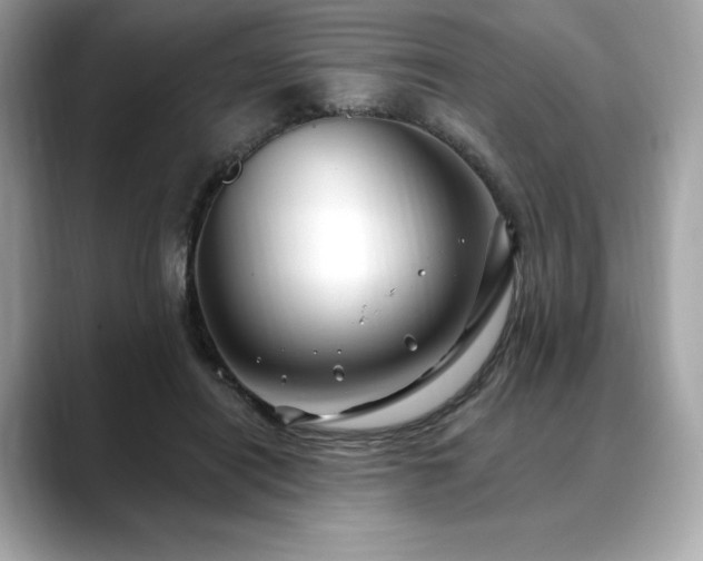 X0000088690454200705311159