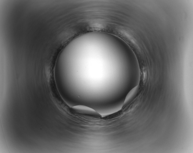 X0000088690455200705311159
