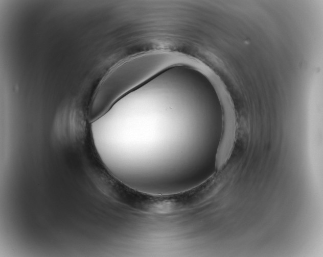 X0000088690456200705311159
