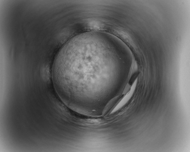 X0000088690457200705311159