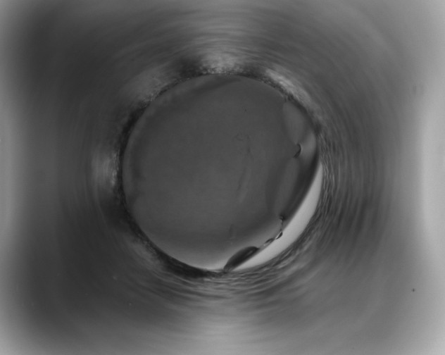 X0000088690458200705311159
