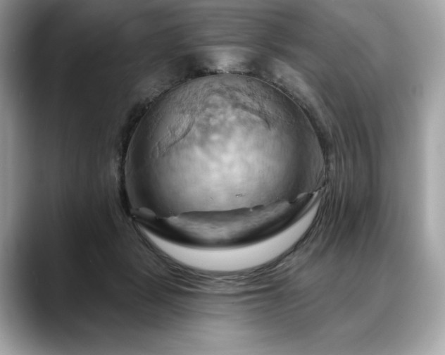 X0000088690461200705311200