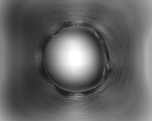 X0000088690463200705311200
