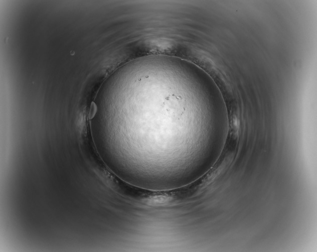 X0000088690468200705311200