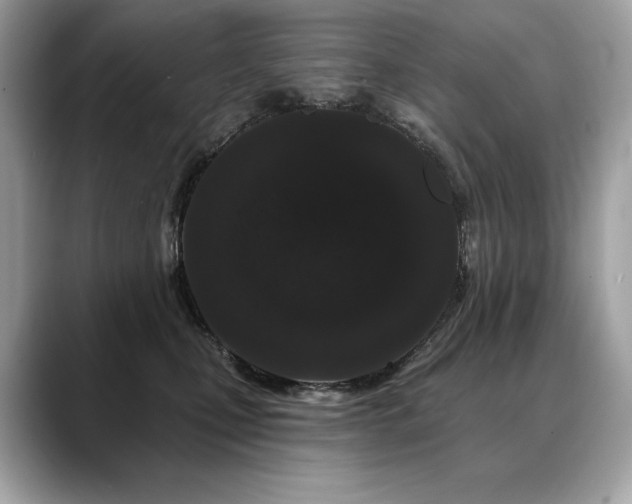 X0000088690471200705311200