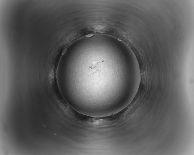 X0000088690472200705311200