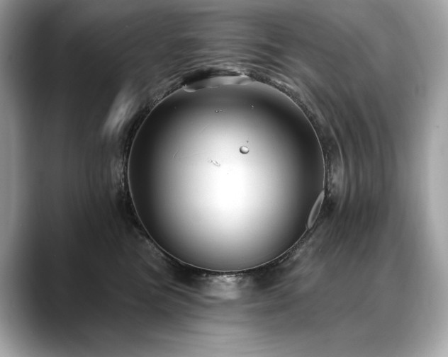 X0000088690473200705311200