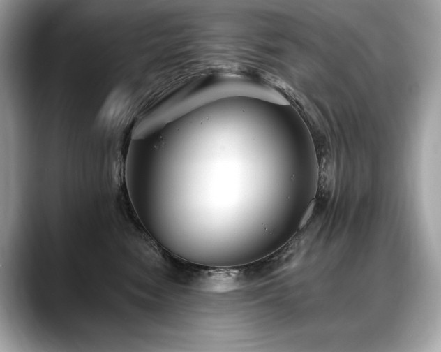 X0000088690474200705311200