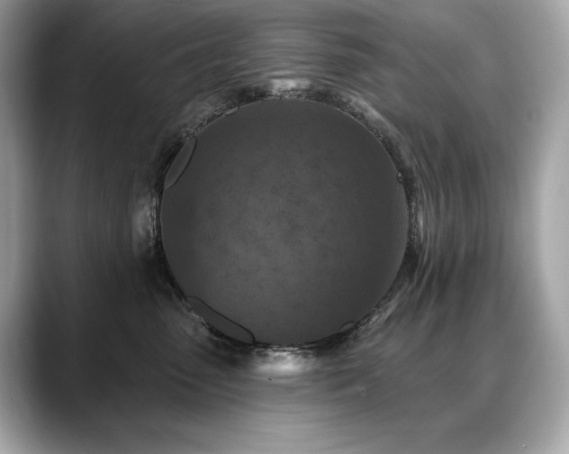 X0000088690475200705311200
