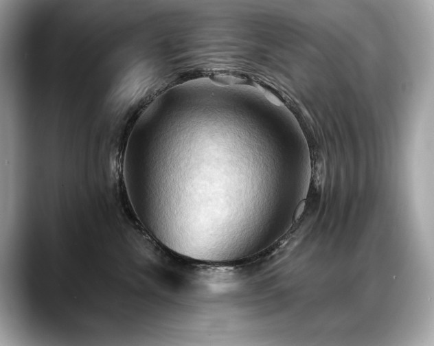 X0000088690476200705311200
