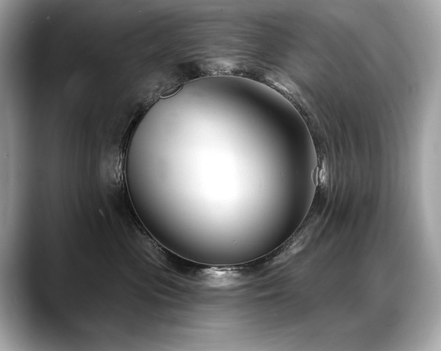 X0000088690477200705311200