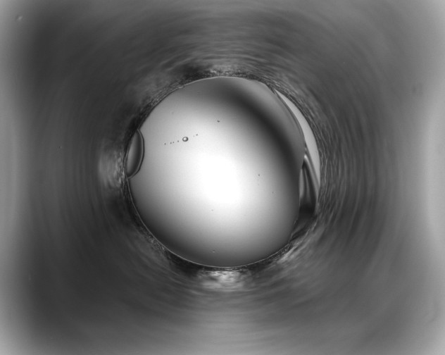 X0000088690478200705311200