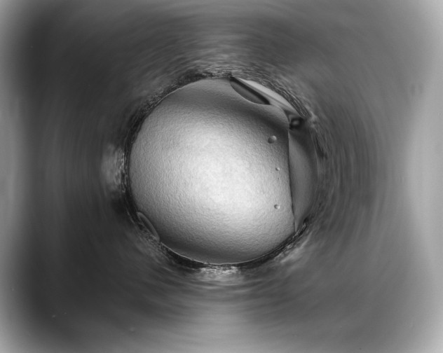 X0000088690480200705311200