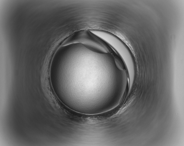 X0000088690481200705311159