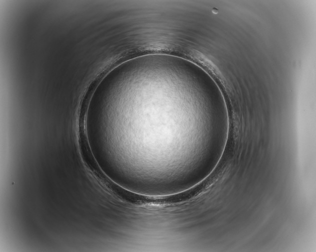 X0000088690482200705311159