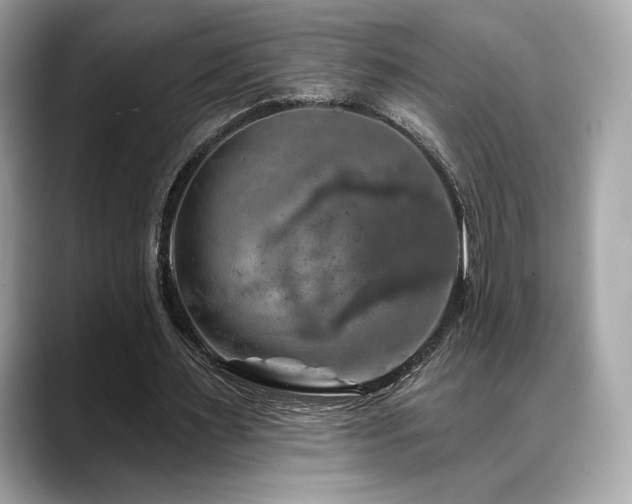 X0000088690483200705311159