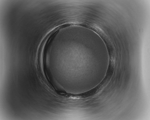 X0000088690484200705311159
