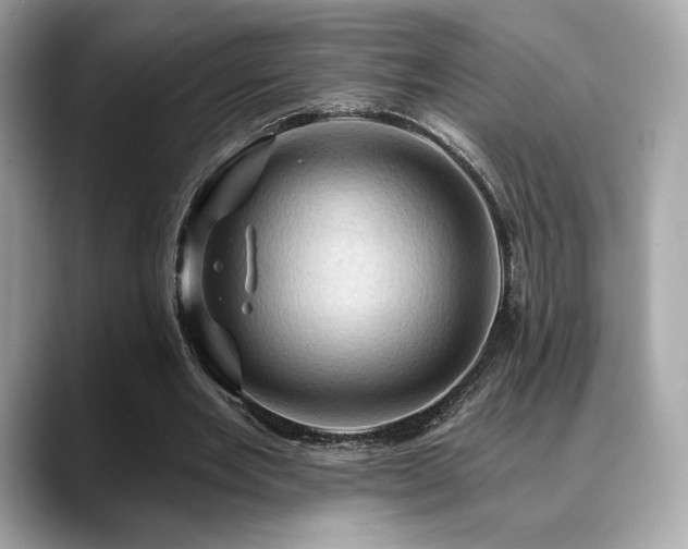 X0000088690485200705311159