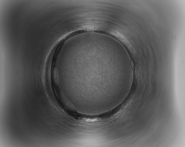 X0000088690488200705311159