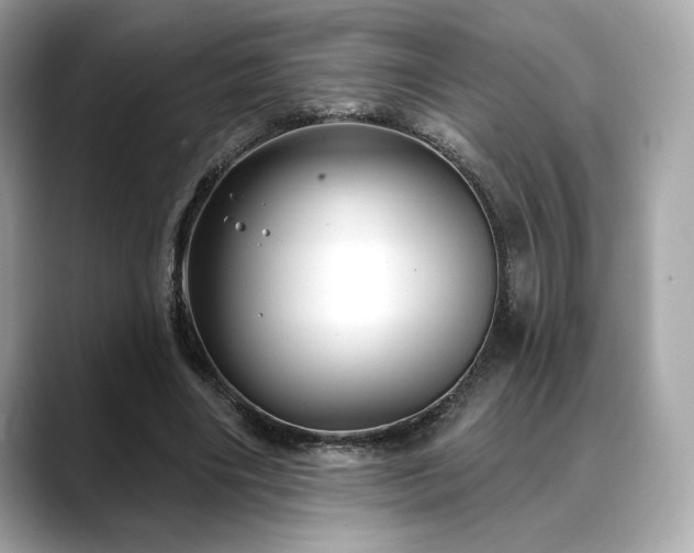 X0000088690490200705311159