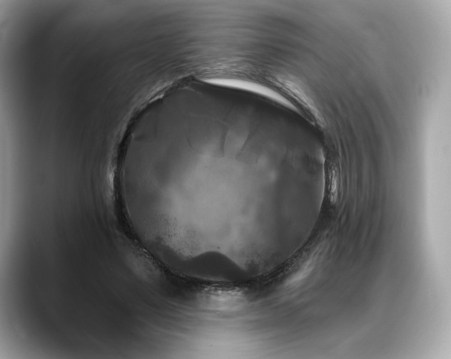 X0000088690491200705311159