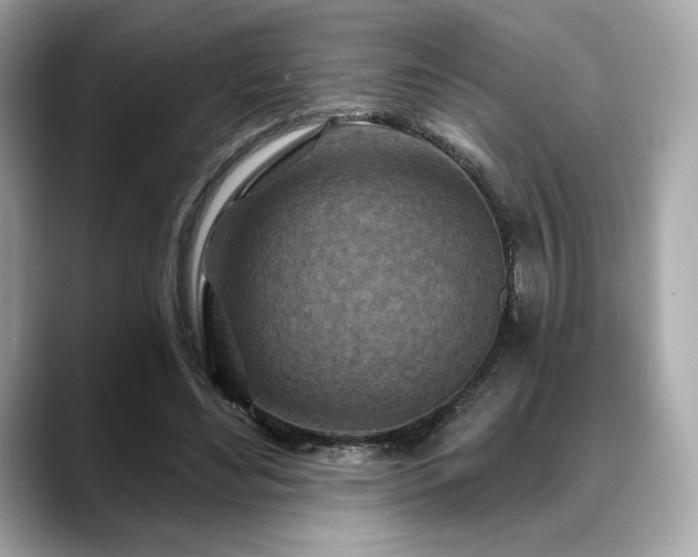 X0000088690492200705311159
