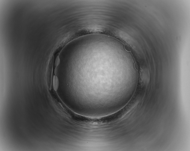 X0000088690494200705311159