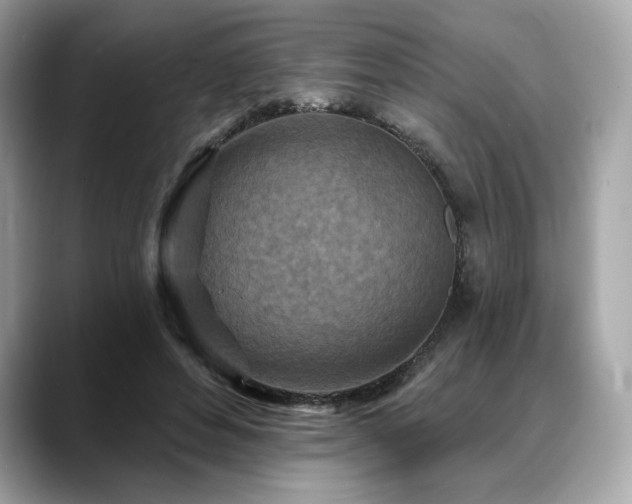 X0000088690496200705311159