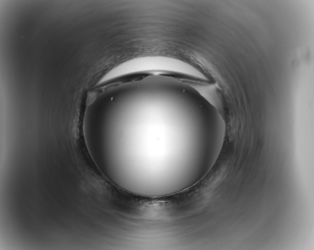 X0000088690497200705311159