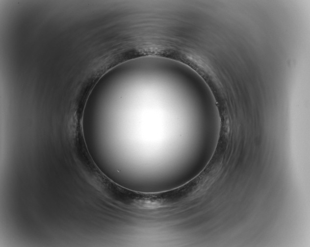 X0000088690498200705311159