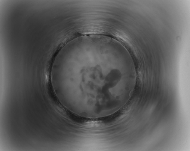 X0000088690499200705311159