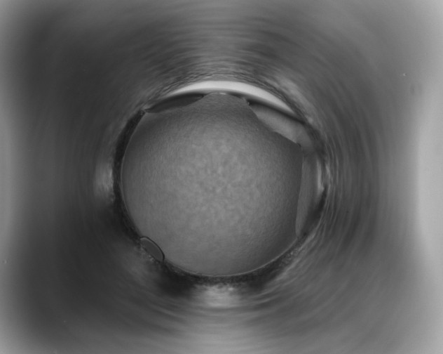 X0000088690500200705311159