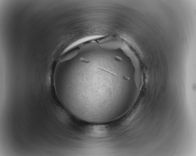 X0000088690501200705311159