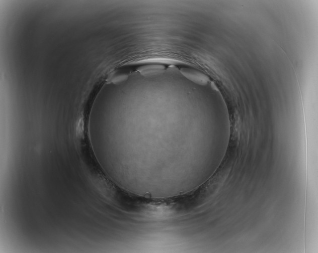 X0000088690502200705311159