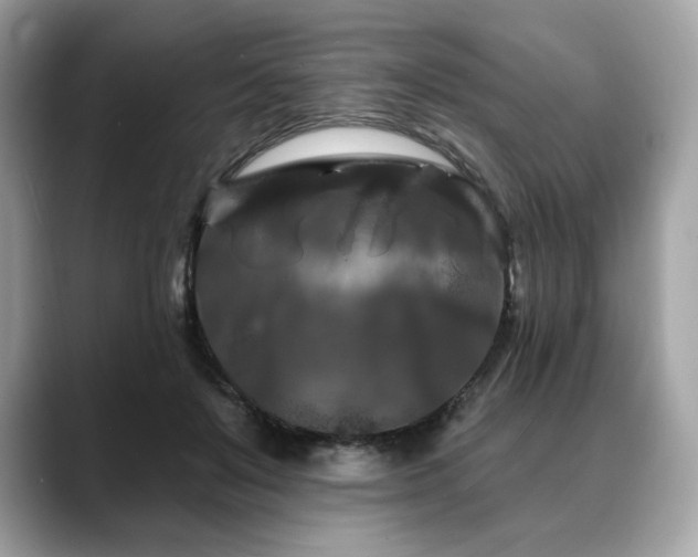 X0000088690503200705311159