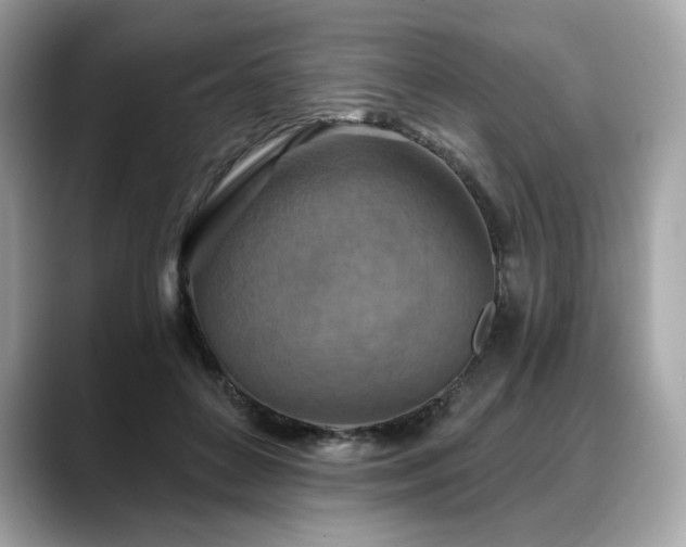 X0000088690504200705311159
