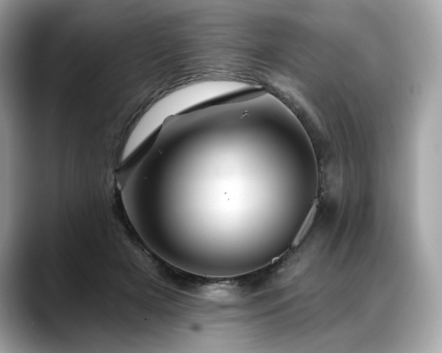 X0000088690505200705311159