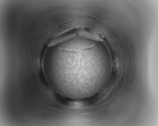 X0000088690506200705311159
