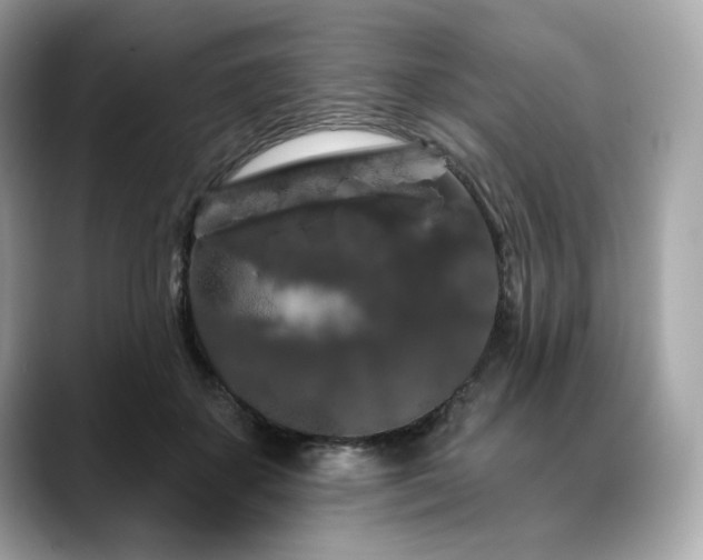 X0000088690507200705311159