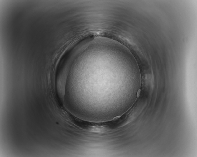 X0000088690508200705311159