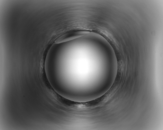 X0000088690509200705311159